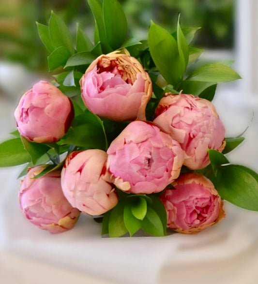 Peony Bouquet - Pale Pink