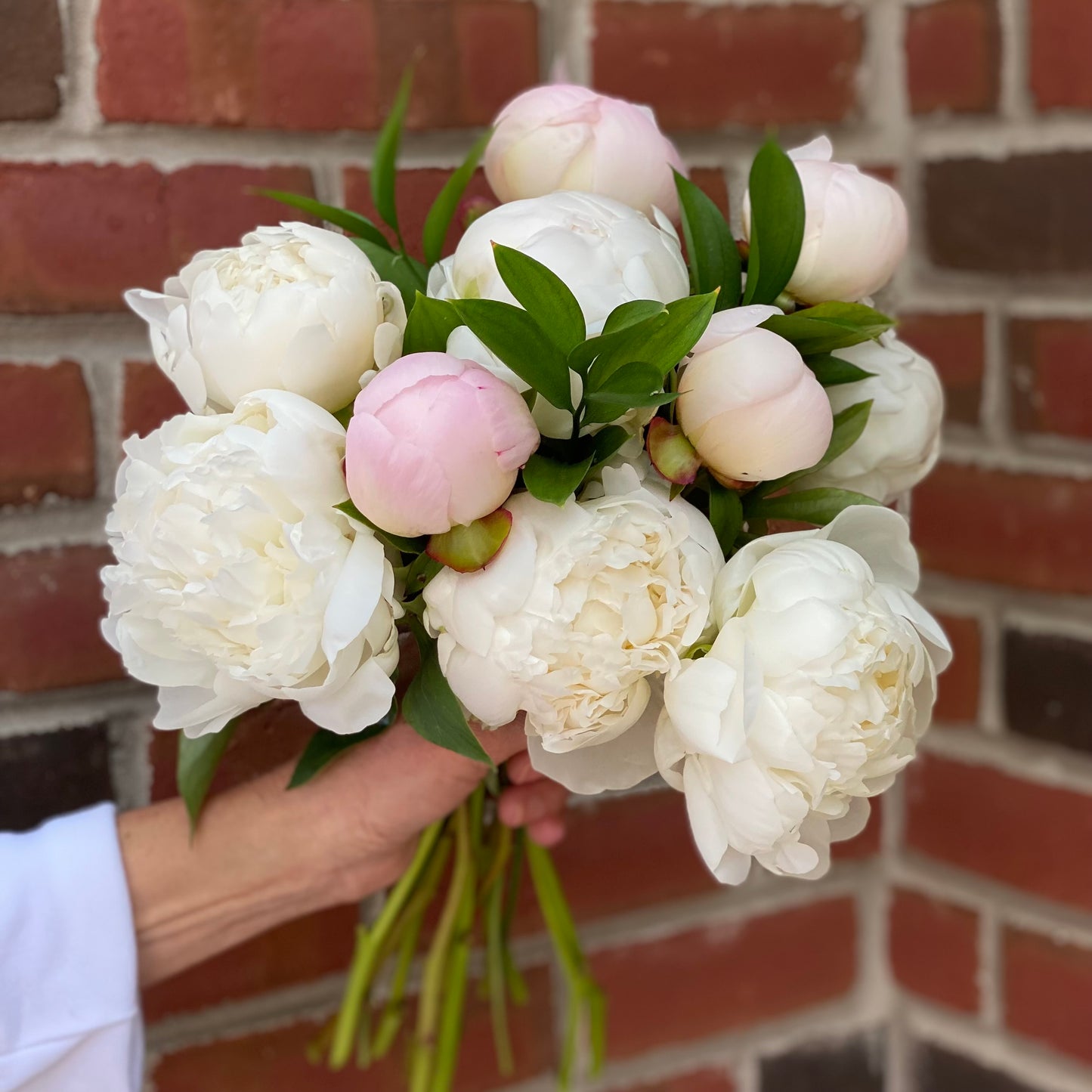 Peony Bouquet - Pale Pink & White