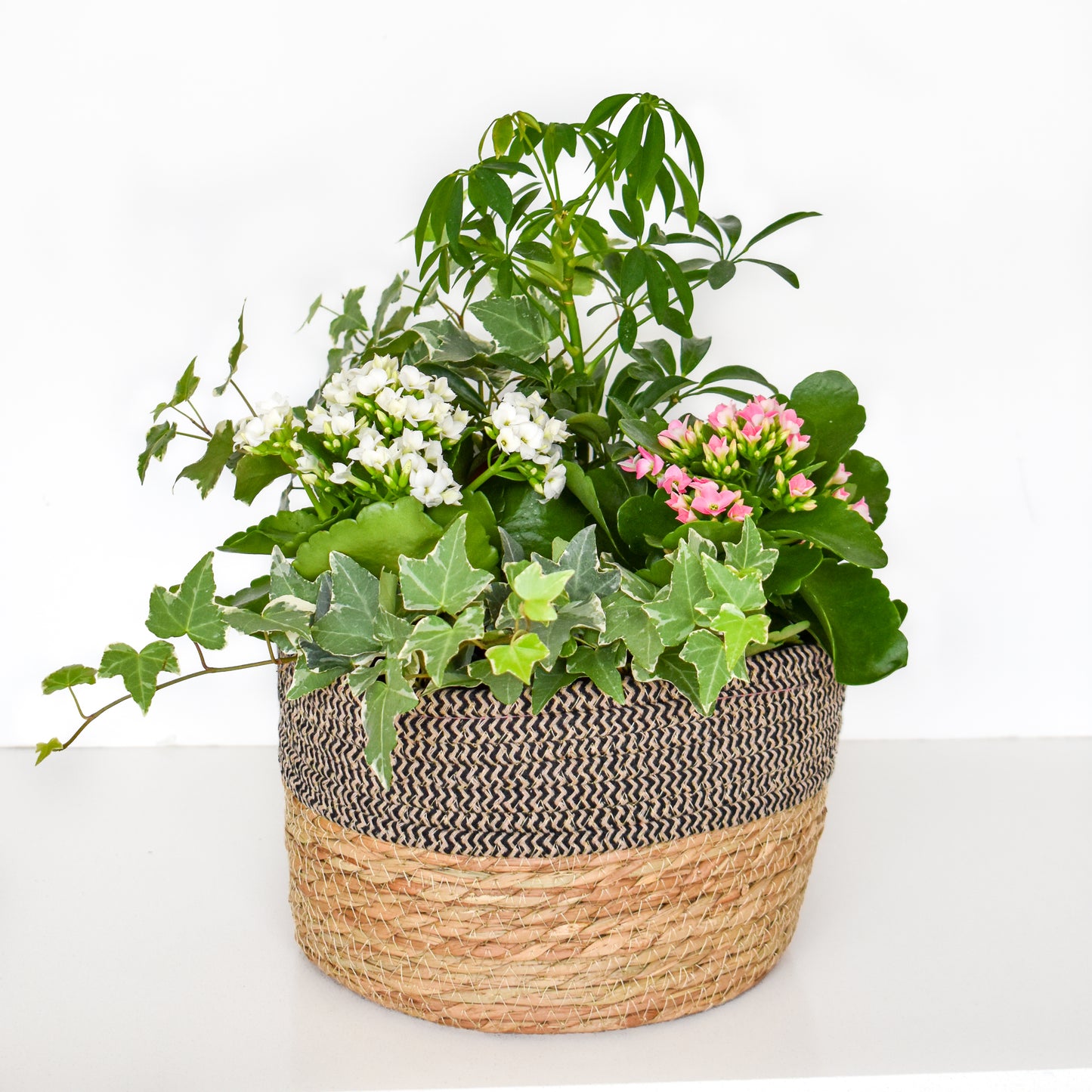 Mother's Day Planter Basket