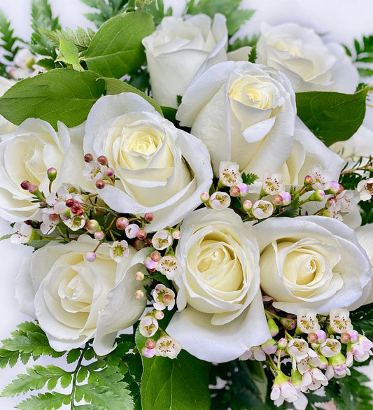 Valentine's Day White Roses