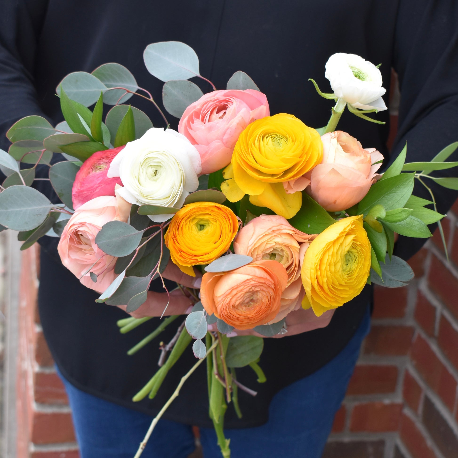 Ranunculus flowers of mixed colours in a hand tied bouquet