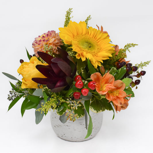 Autumn Flower Garden