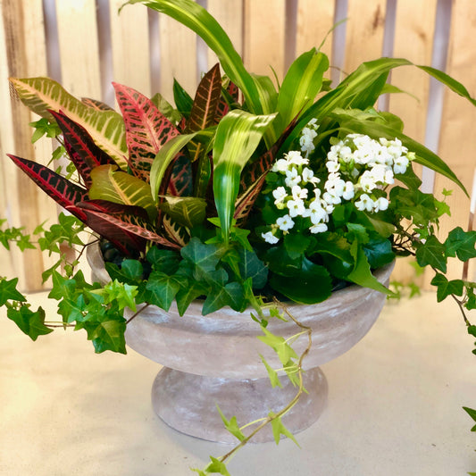 Tropical Garden