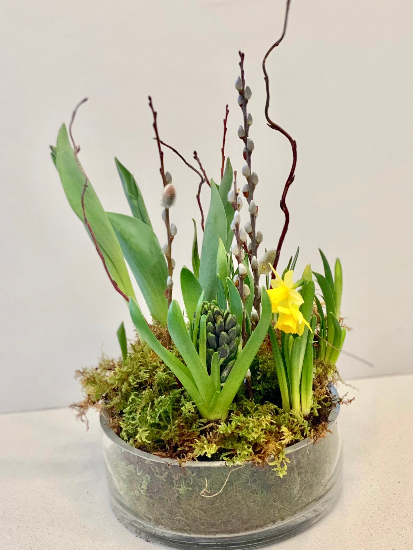 DIY Spring Bulb Arrangement