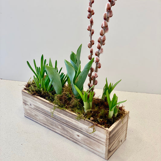 Spring Bulb Garden - Rectangular Box