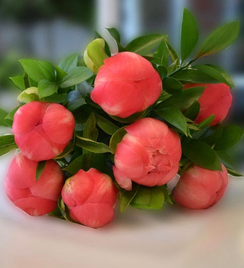Peony Bouquet - Coral